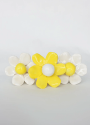 Individual Daisies