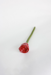 Long Stemmed Roses