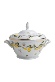 Soup Bowl Limoeiro