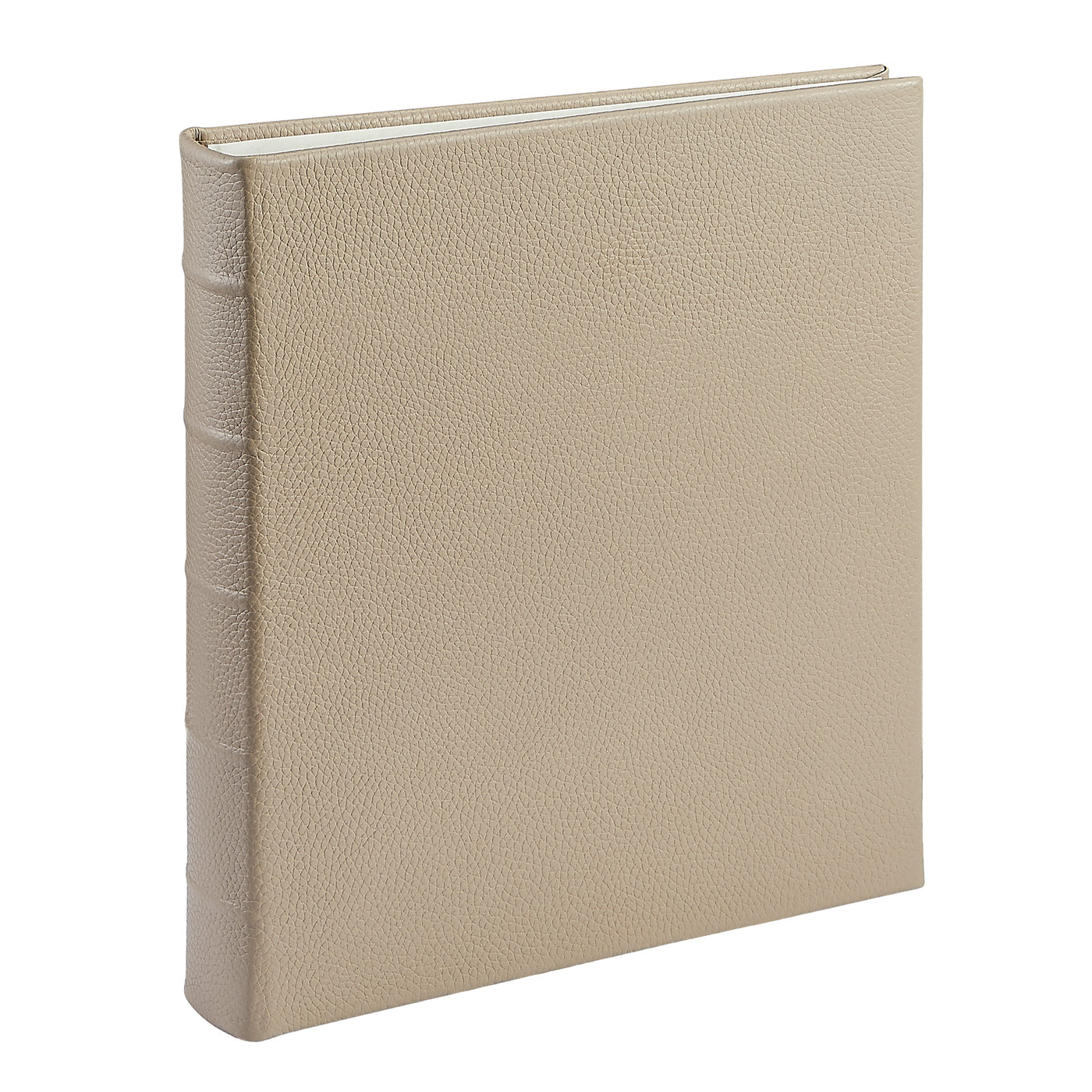 Large 3-Ring Clear Pocket Album