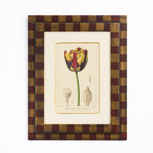 Botanical Print - 'Yellow and Red Tulip'