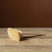 Bathtub Brush