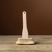 Bathtub Brush
