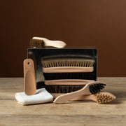 Shoe Grooming Kit