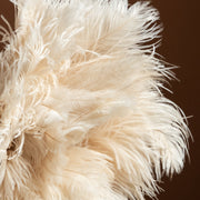 Ostrich Feather Duster