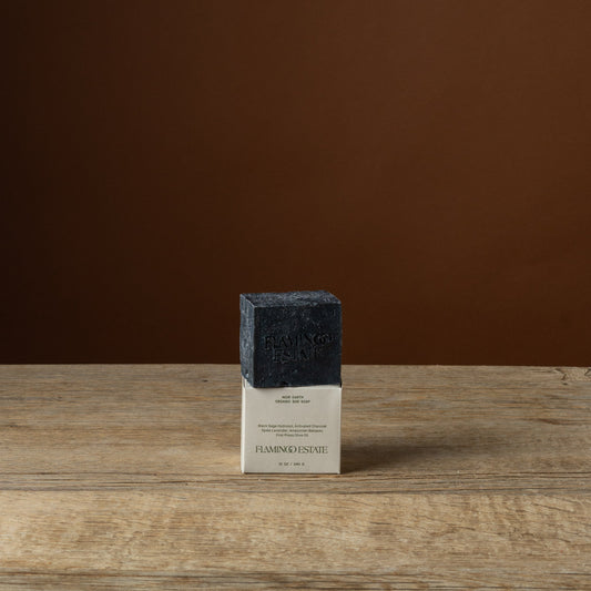 Lavender Activated Charcoal Soap Brick