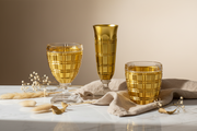 Winston Acrylic Tumbler