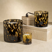 Apothecary Guild Opal Glass Five-Wick Candle, Cedar Leaf & Hinoki Cypress