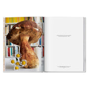 The Gourmand's Mushroom. A Collection of Stories and Recipes (English)