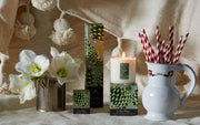 Astier De Villatte Conserve Platinum Vases