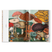 The Gourmand's Mushroom. A Collection of Stories and Recipes (English)