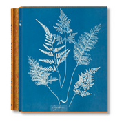 Anna Atkins. Cyanotypes (German, French, English) (FFE)