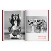 Walter Chandoha. Dogs. Photographs 1941–1991 (English)