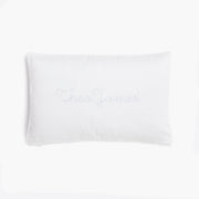 Seaside Stripes Toddler Pillow - Ocean