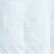 Picnic Gingham Toddler Pillow - Blue