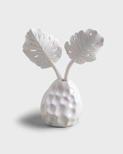 Diffuser Folha Costela de Adao White