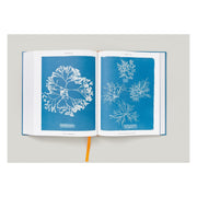 Anna Atkins. Cyanotypes (German, French, English) (FFE)