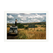 Elephants Right of Way