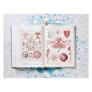 The Art and Science of Ernst Haeckel (German, French, English)