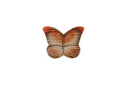 Bordallo Pinheiro Cloudy Butterflies By Cláudia Schiffer – Bread & Butter Plate 14.5 cm x 18 cm / 5" x 7", set of 4
