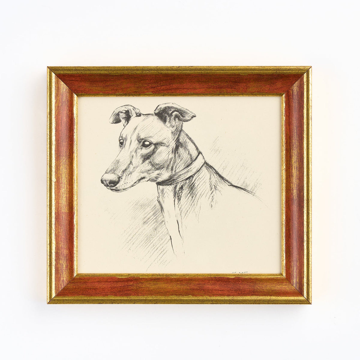 Lucy Dawson - Portrait of a Greyhound