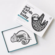 Art Cards for Baby - Rainforest Collection