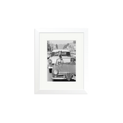 Hollywood Dog in Sports Car