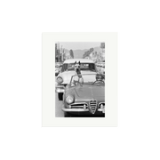 Hollywood Dog in Sports Car