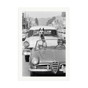 Hollywood Dog in Sports Car