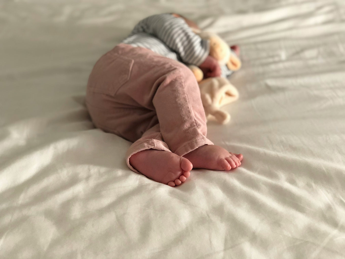Crib Notes Fourth Trimester Session