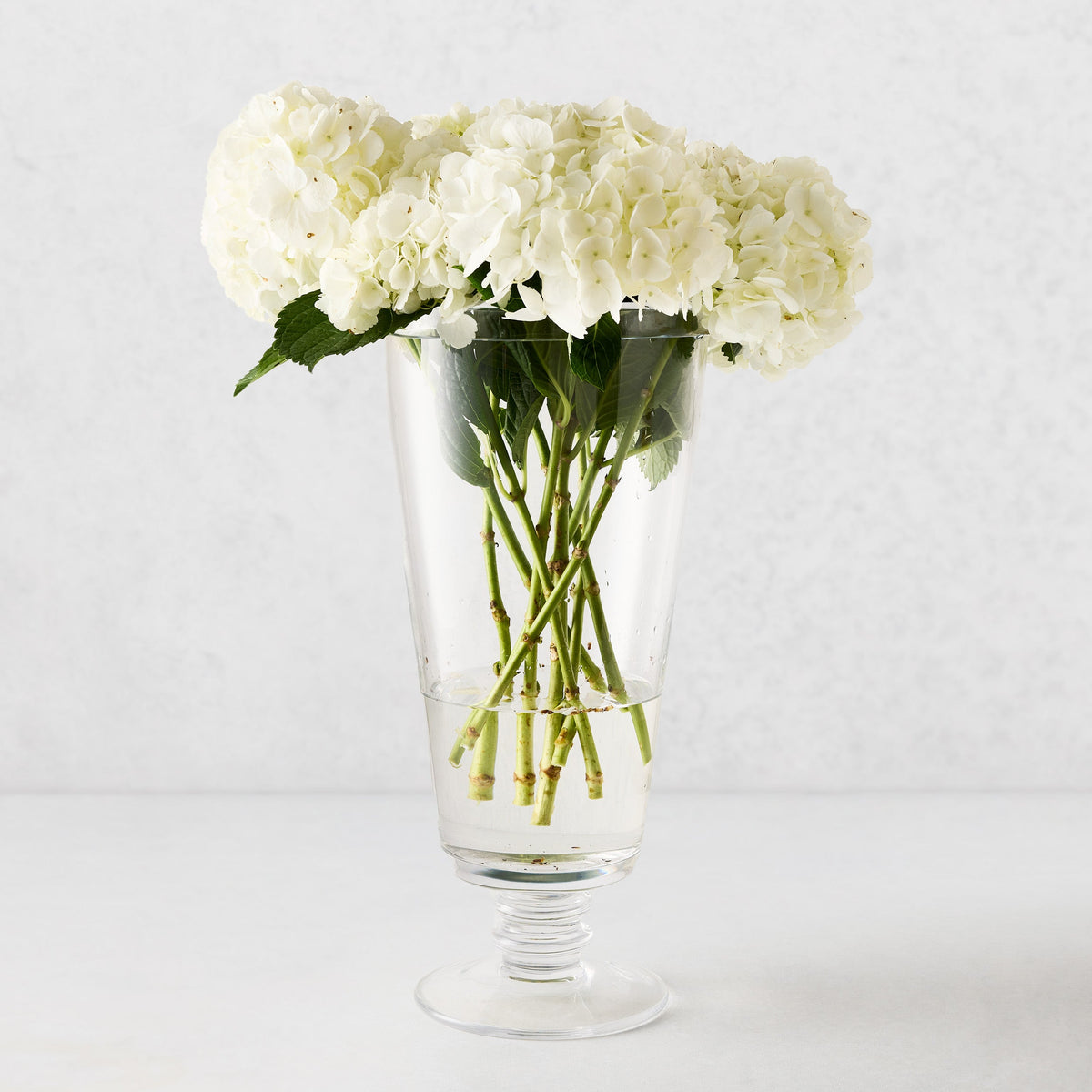 Large Oxford Glass Vase