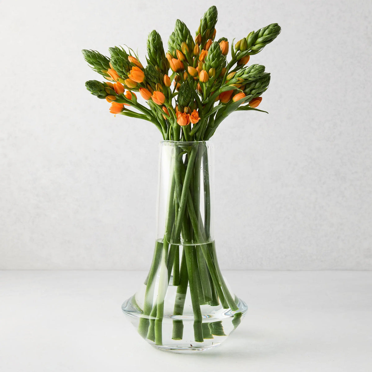 Marco Glass Vase