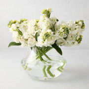 Mario Glass Vase