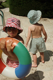 Asnou Swim Shorts in Stripe Verti