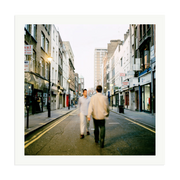 Oasis 'Morning Glory'