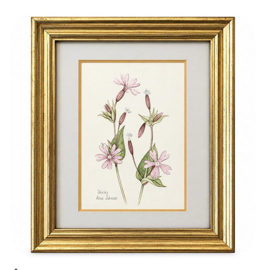 'Periwinkles' - Shirley Anne Johnson
