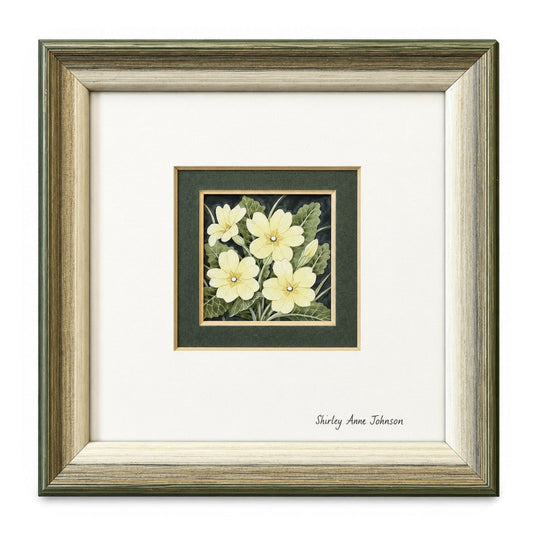 'Primroses' - Shirley Anne Johnson