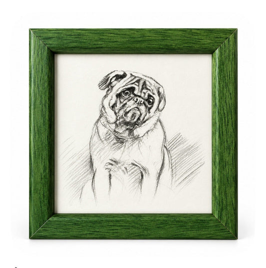 Lucy Dawson - Portrait of a Pug