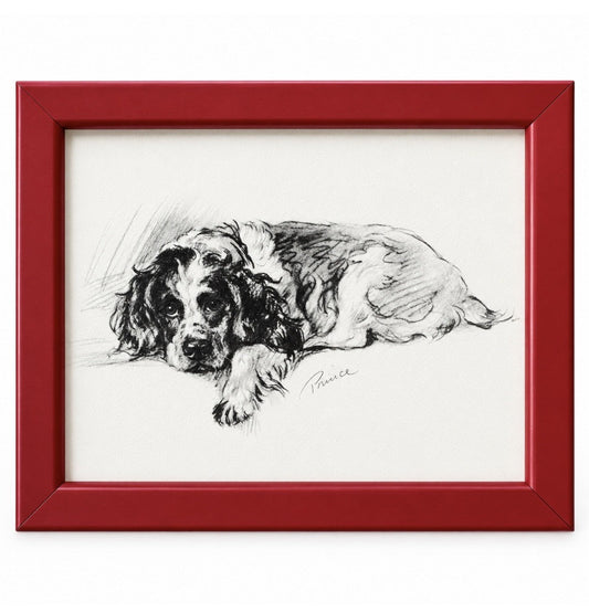 Lucy Dawson - 'Prince' - Portrait of a Spaniel