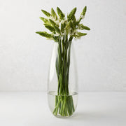 Robert Glass Vase