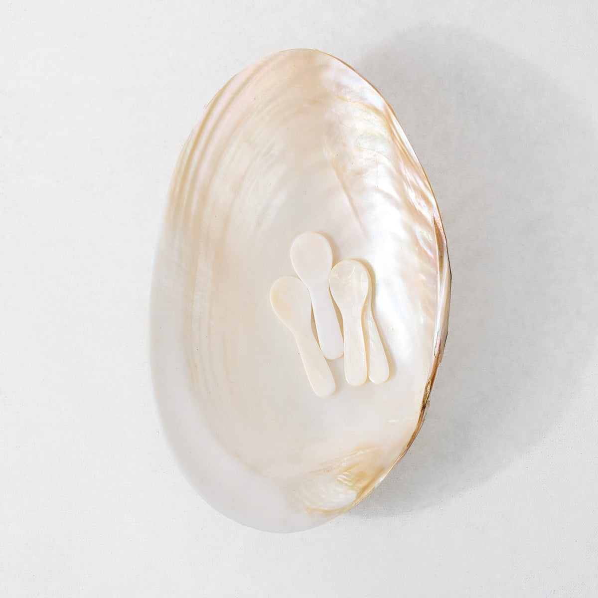 Shell Caviar Dish and Set of 4 Spoons