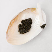 Shell Caviar Serving Dish