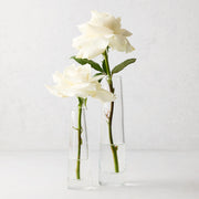 Solifleur Large Glass Bud Vase