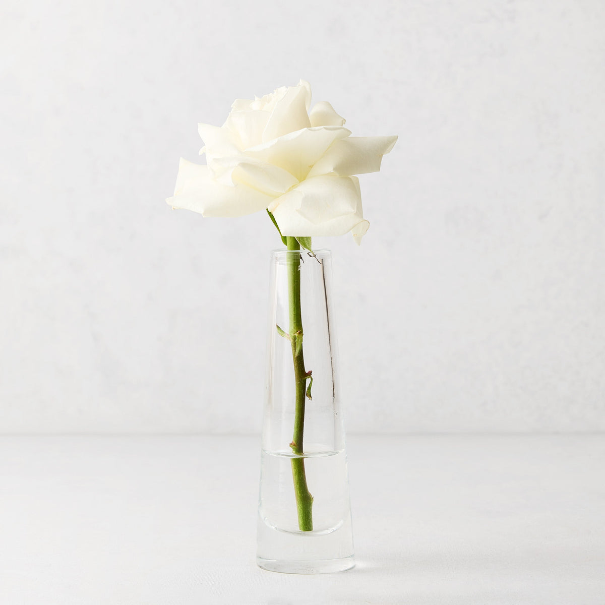 Solifleur Small Glass Bud Vase