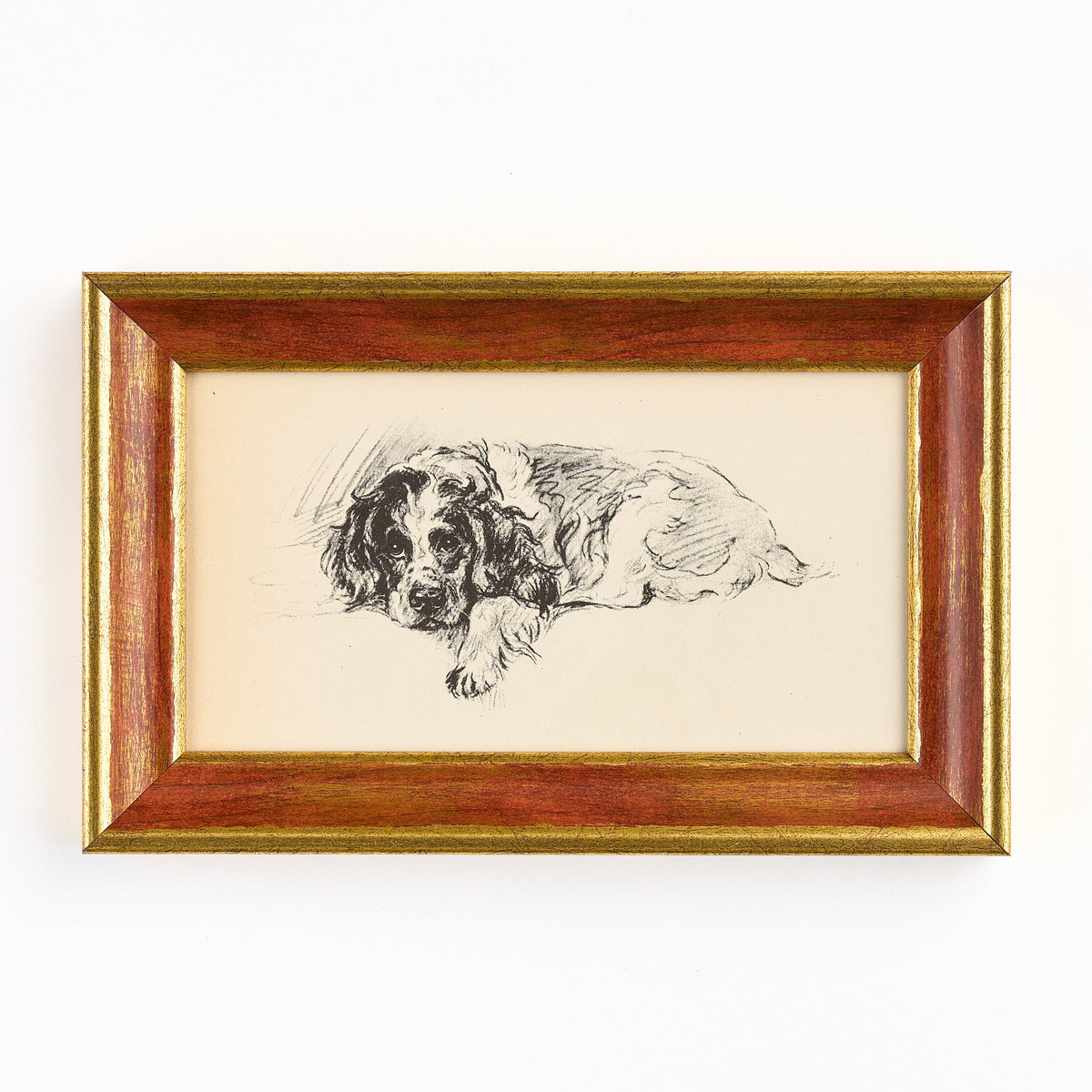Lucy Dawson - Cocker Spaniel print