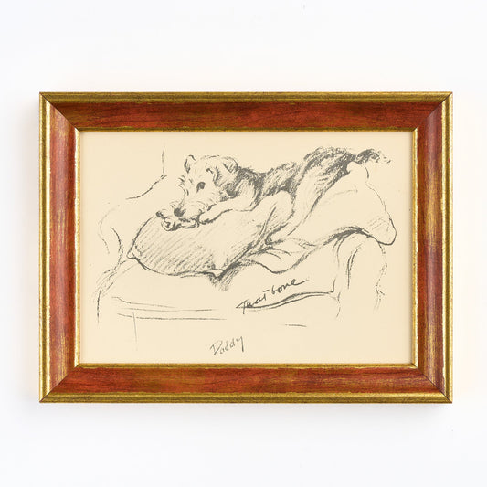 Lucy Dawson - 'That Bone..'