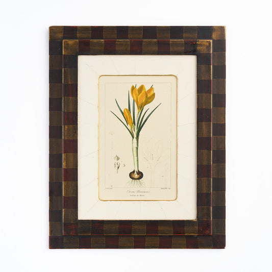 Botanical Print - 'Yellow Crocus'