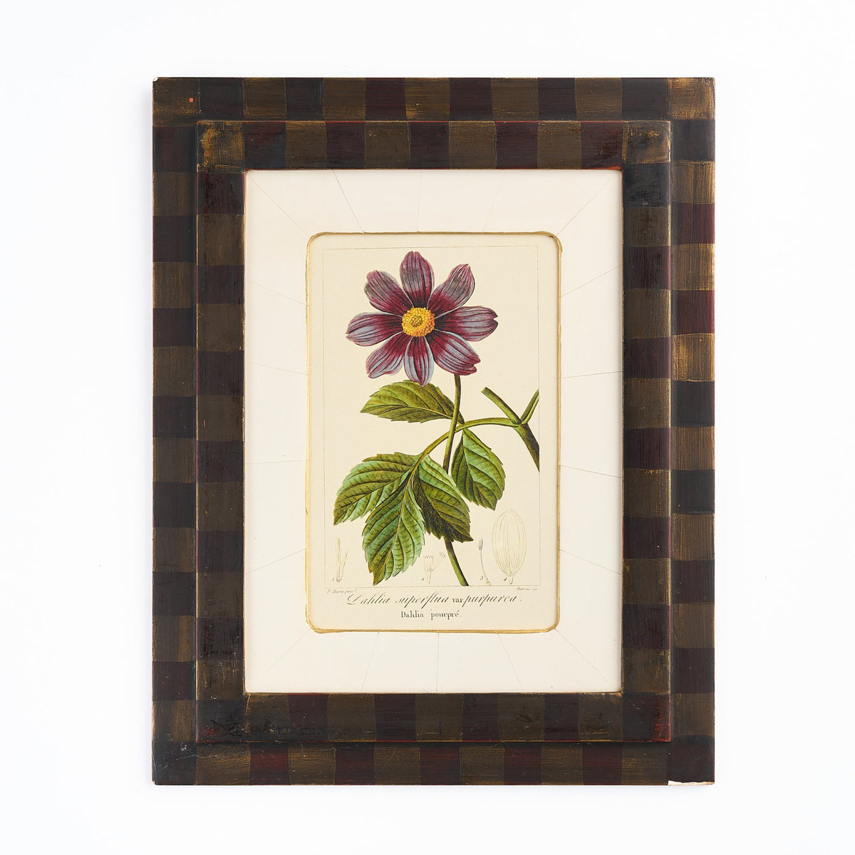 Botanical Print - 'Purple Flower'