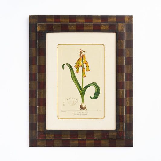 Botanical Print - 'Yellow Flower' III