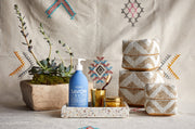 Compagnie de Provence Velvet Seaweed Collection